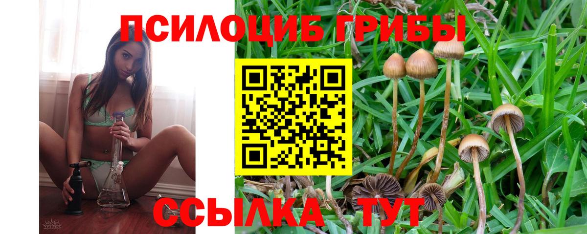 сколько стоит  Псилоцибиновые грибы прущие грибы  Кингисепп  Вход с VPN  Галлюциногенные грибы прущие грибы 